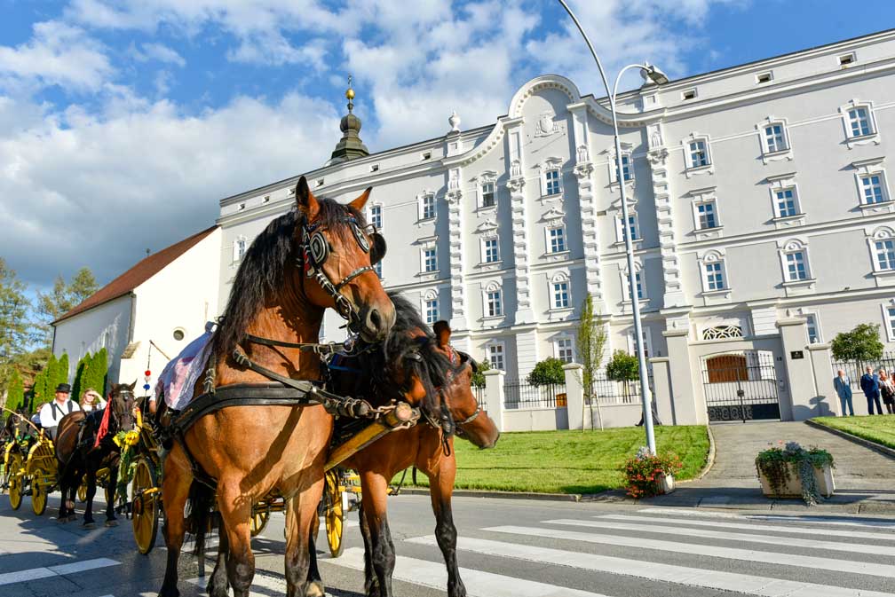 Istraživanje čari Požege: skriveni dragulj u srcu Slavonije