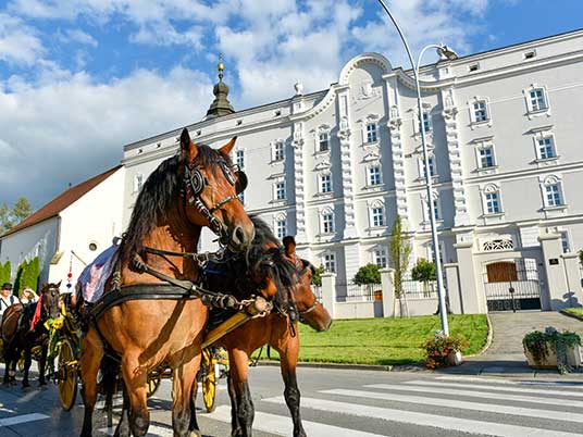 Istraživanje čari Požege: skriveni dragulj u srcu Slavonije